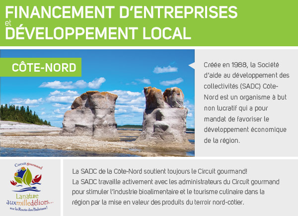 SADC Côte-nord,Financement d'entreprises et développement local