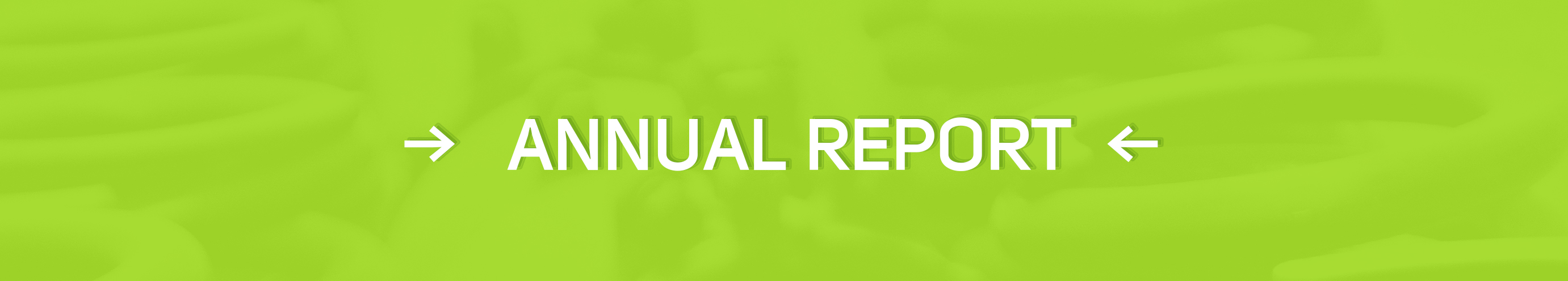annual report - button